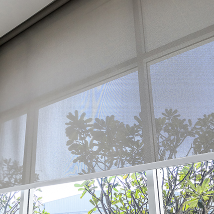 toile